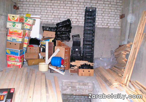 выращивание зеленого лука в гараже и подвале